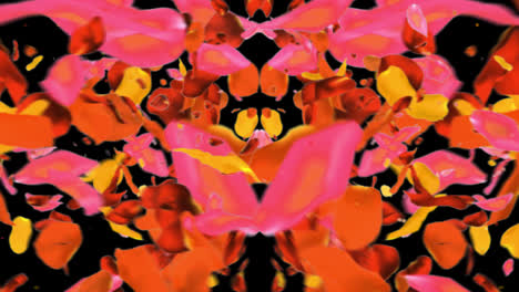 Rosenblüte,-Fallende-Blütenblätter,-Flora,-Transparenter-Hintergrund-Mit-Alphakanal